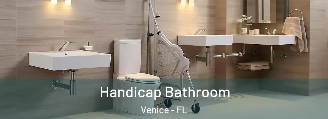 Handicap Bathroom Venice - FL