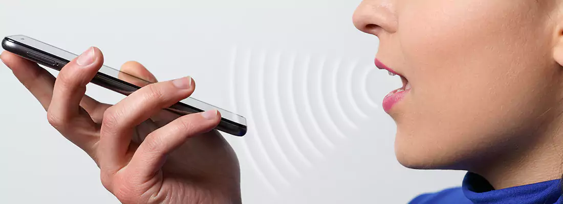 Residential and Commercial Voice Recognition Access Solutions in Venice, FL